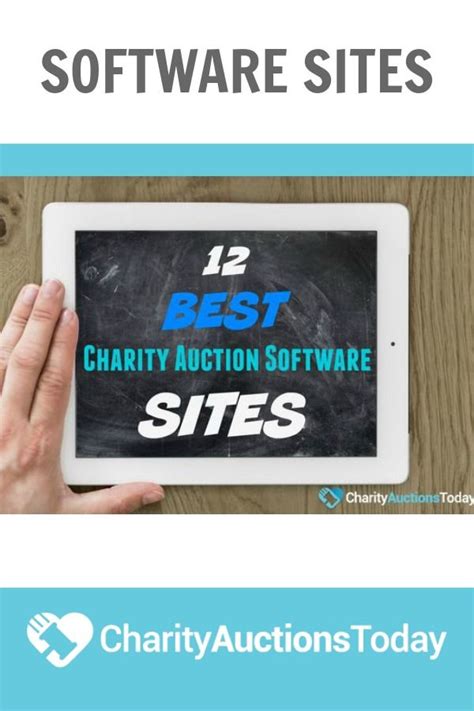 12 Top Charity Auction Sites .